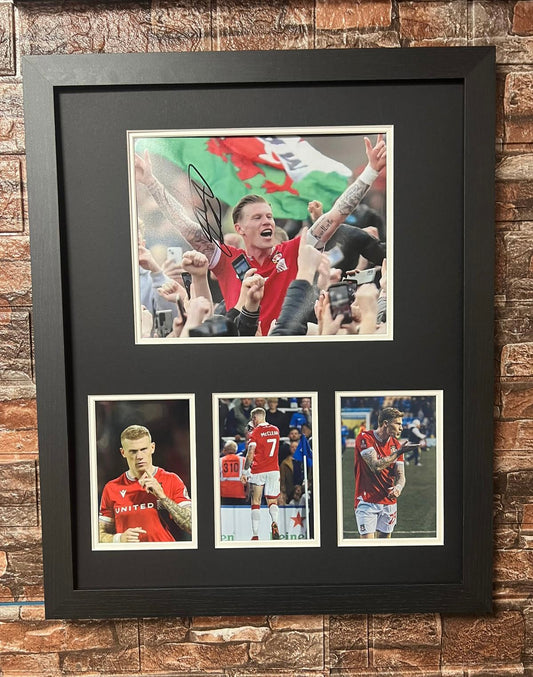 20x16 Montage Signed By James McClean