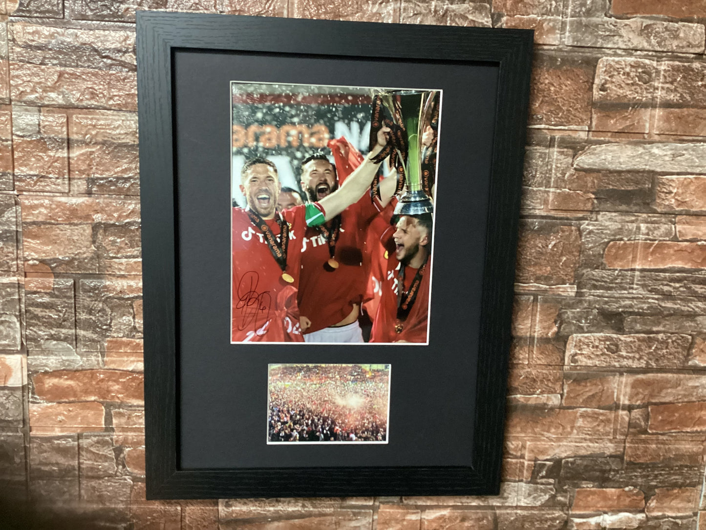 Champions A3 Montage Mount Signed By Ben Tozer