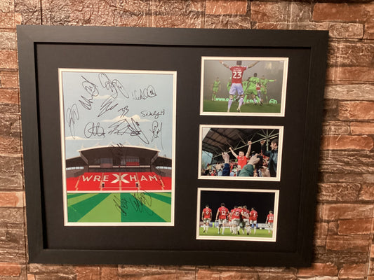 Promotion Squad Signed 20x16 Montage